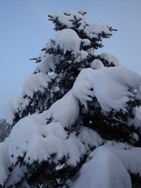 DSC04578_resize.jpg